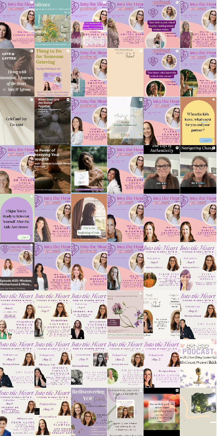 Amy D'Agrosa Instagram Feed