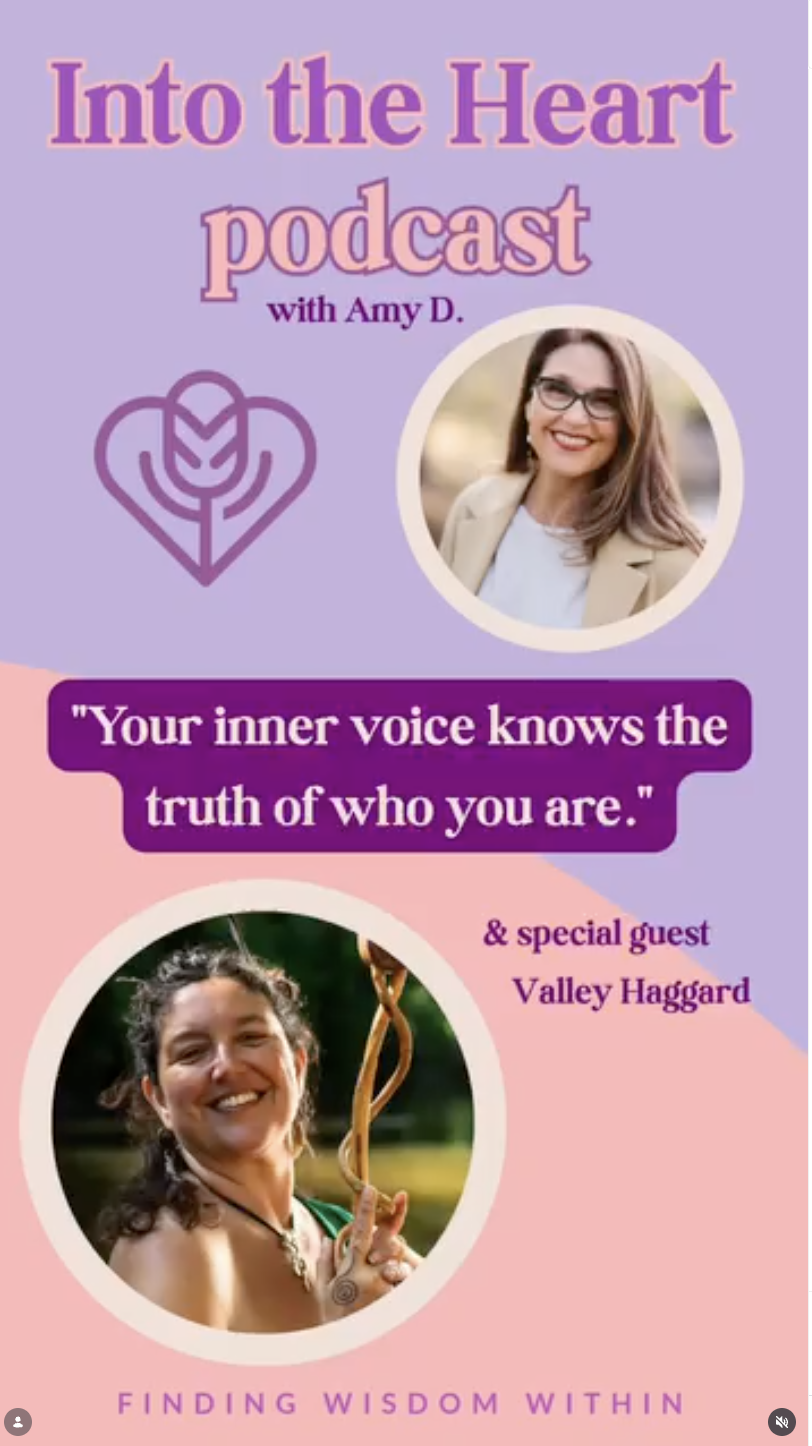 Amy D'Agrosa Reel Cover Design